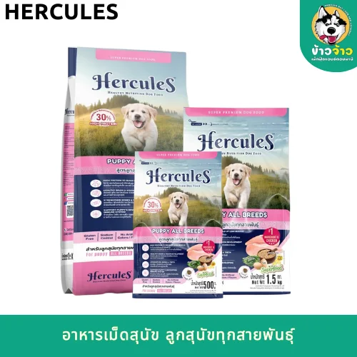 4-2 - 2025-08-06T172453.753