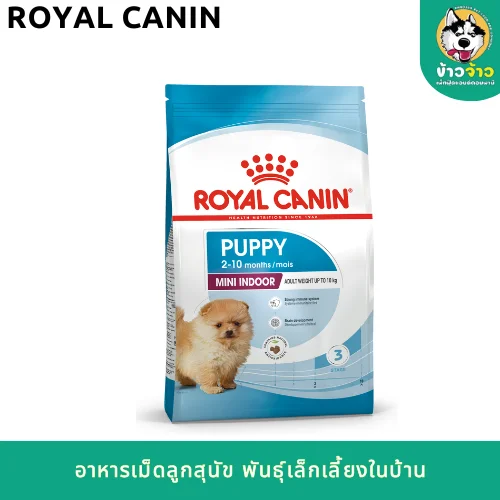 ROYAL - 2025-08-11T163537.877