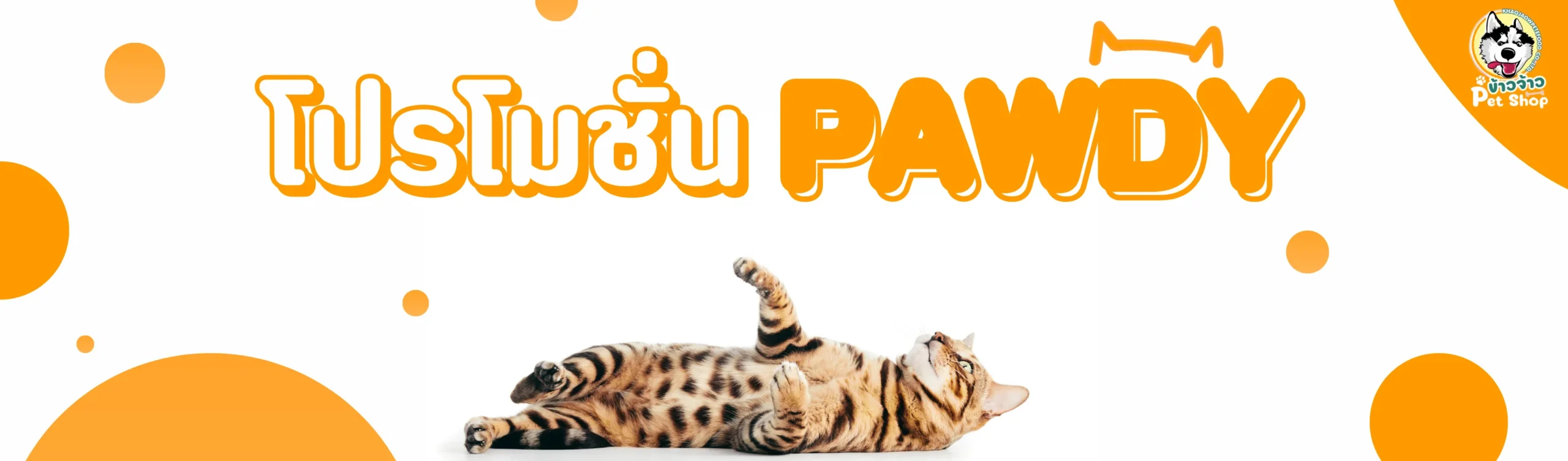 โปรโมชั่น Pawdy