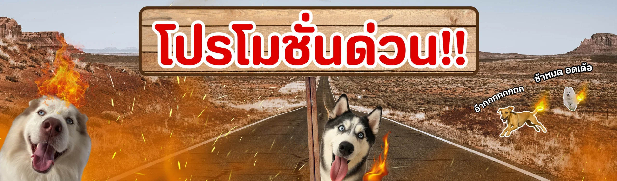โปรด่วน