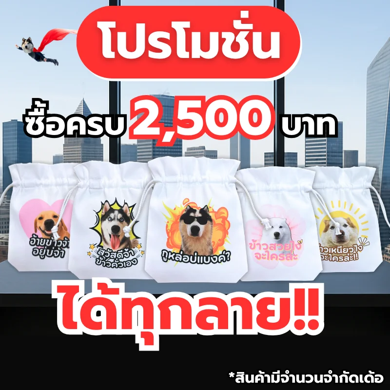 โปร 2500