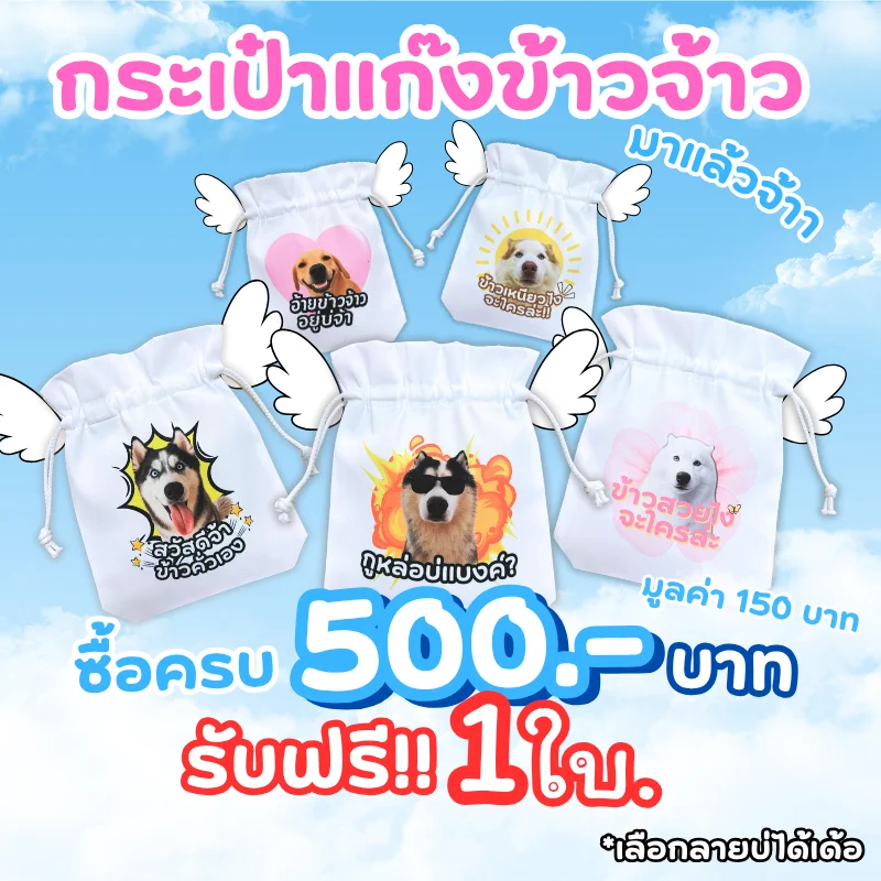 โปร 500