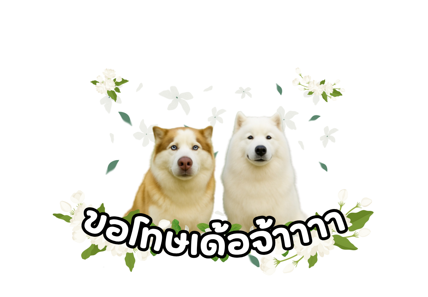 ร้านปิด